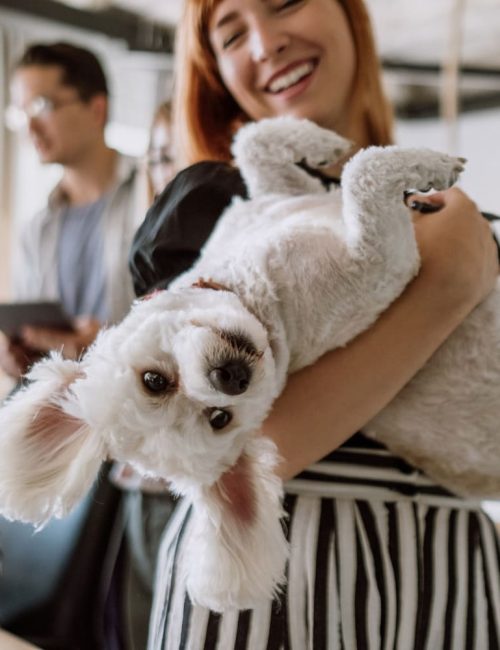 Diseño sin título-2-2